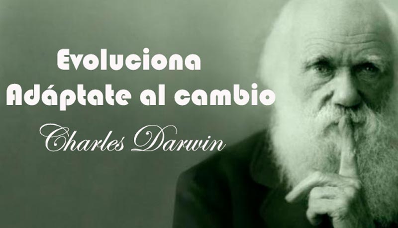 Evoluciona y adáptate al cambio, mejora constante para lograr tus objetivos y mantenerte arriba