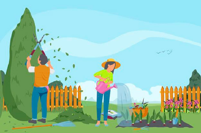 Content Pruning - Mejora tu seo mejorando contenidos